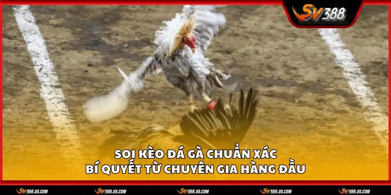 Soi keo da ga chuan
